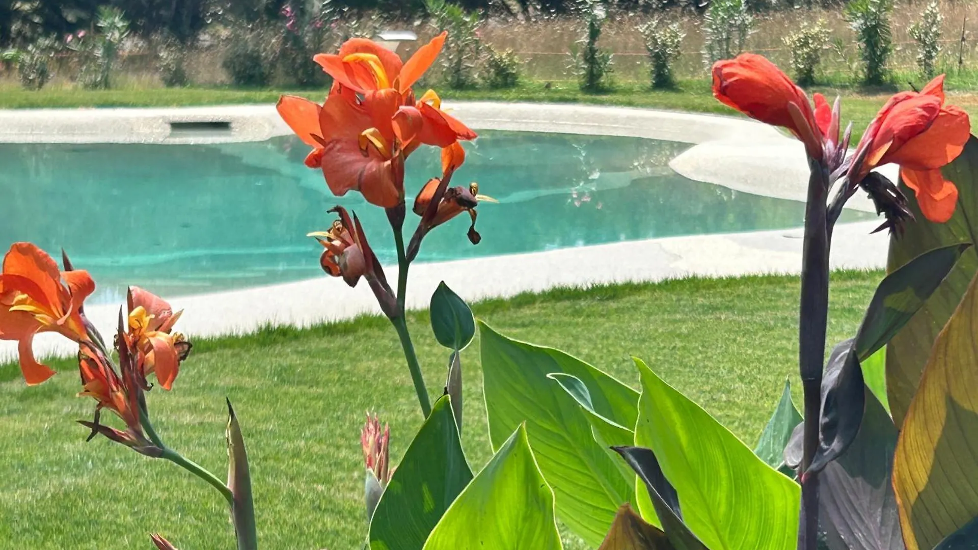 Agriturismo San Ansanino- Piscina Con Spiaggia-Aria Condizionata Pari 0*,